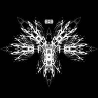 Sunn O))) : The Horn and the Spear (EMS Remix)